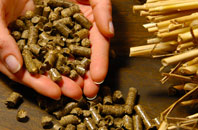 free Bready biomass boiler quotes